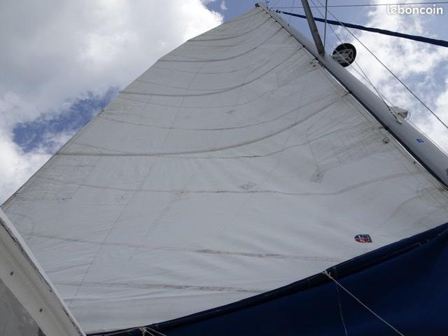 Grand voile
