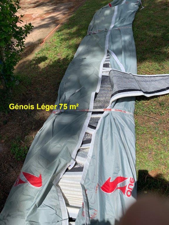 Génois