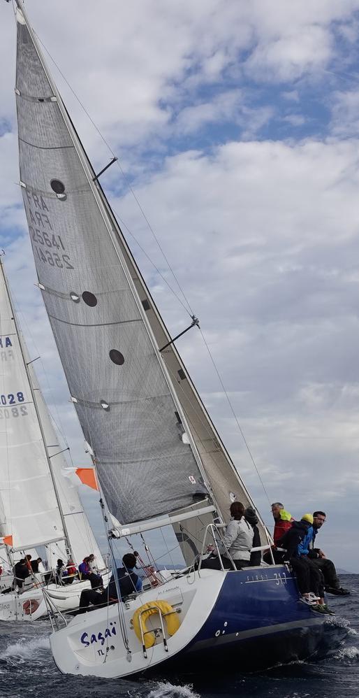 Grand voile
