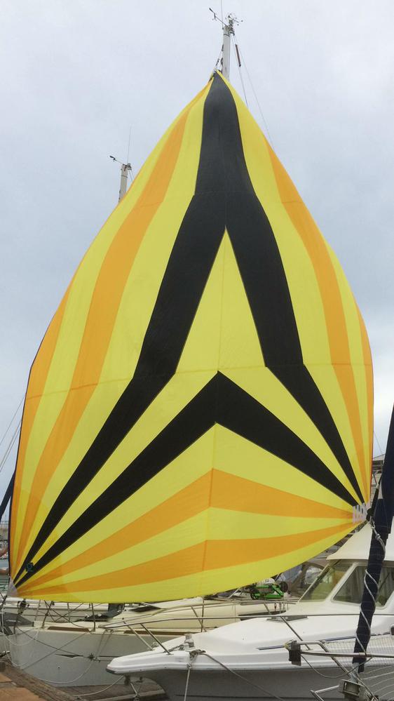 Spi asymétrique
