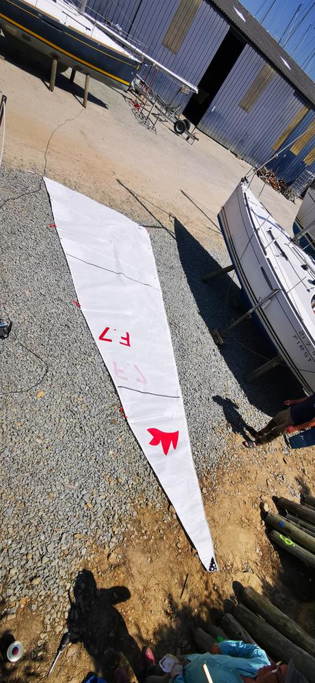 Grand voile