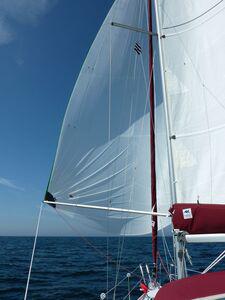 SPINNAKER SYM Requin 30m²