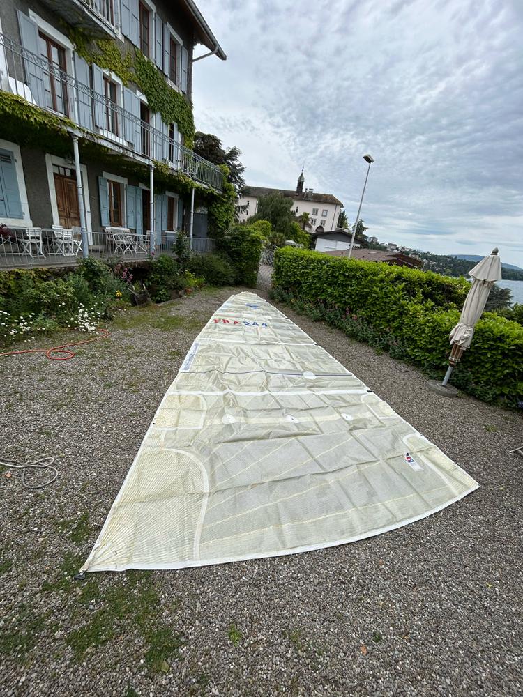 Grand voile Grand surprise