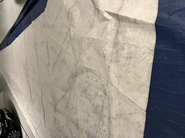 51m2 Furling Genoa with 5mm luff tape
