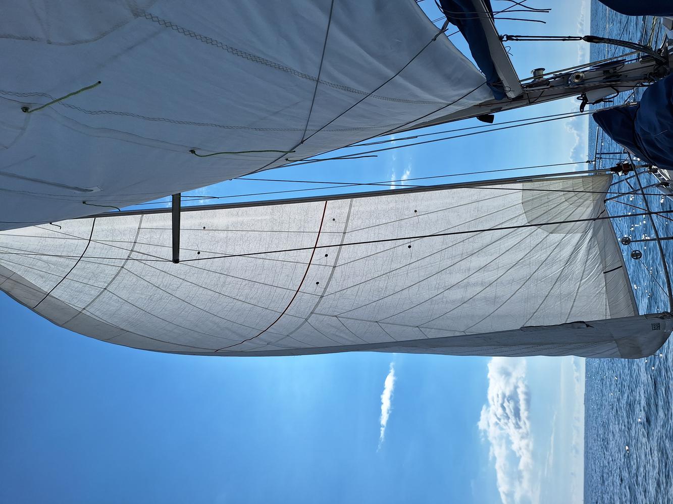 Génois triradial XVoiles