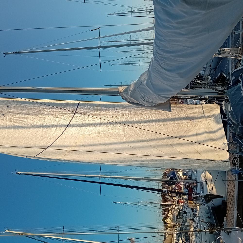 Voiles régate first 31.7