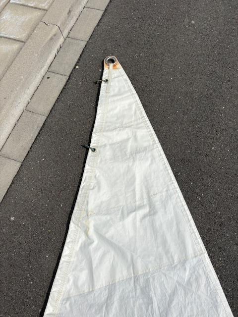 16.5m2 Jib with hanks