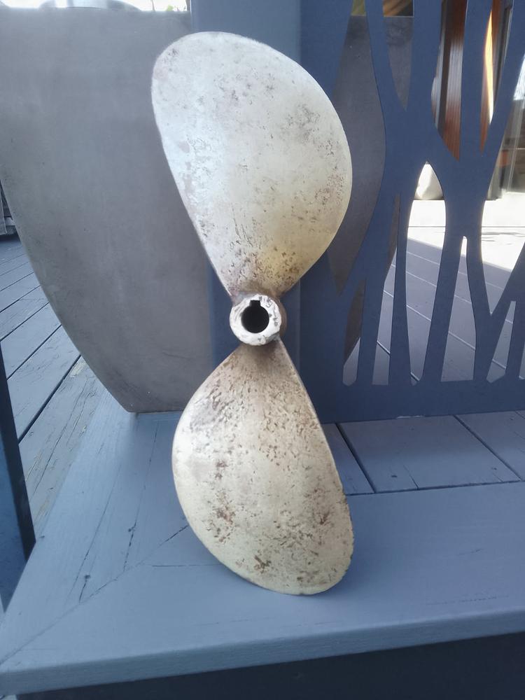 Hélice bronze bipale pour arbre de 30
