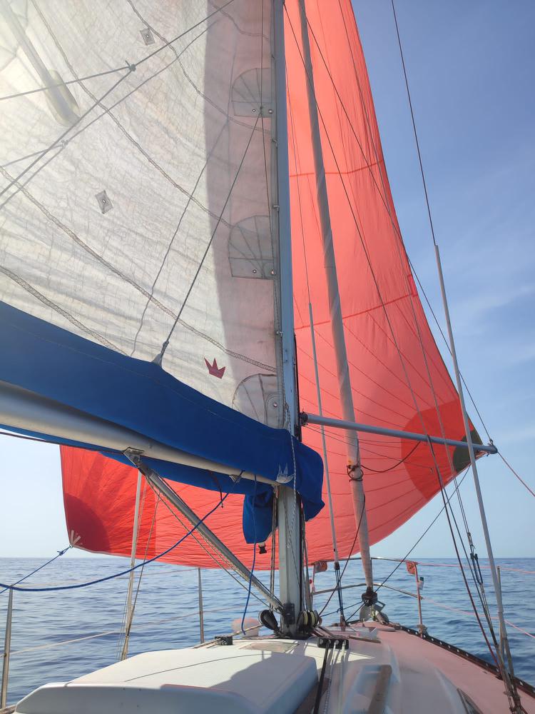 spi 55 m2 parfait état Elvstrom