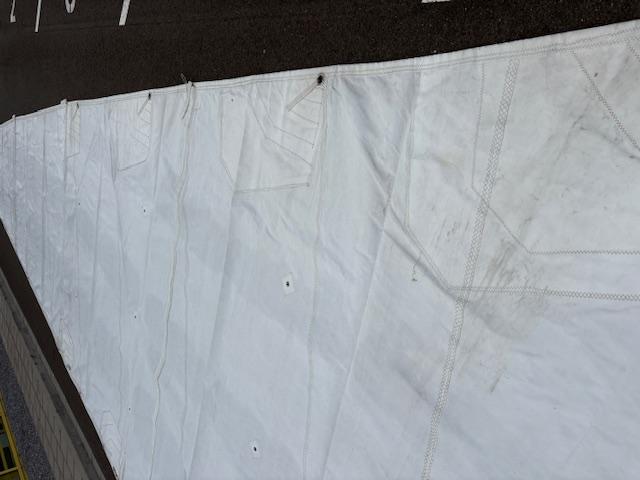 31.5m2 Dacron Mainsail