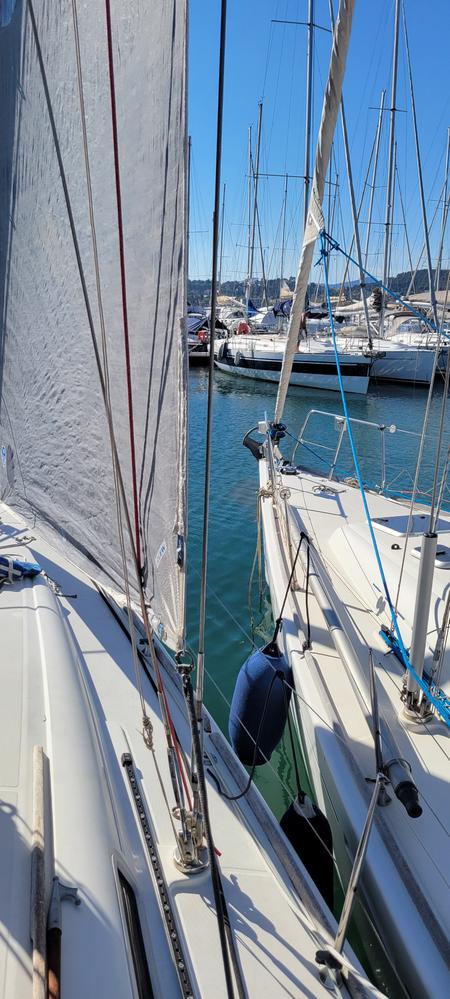 SOLENT ou petit Génois