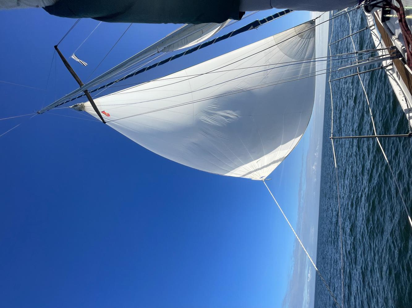 Spi asymétrique