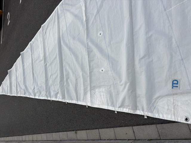 11m2 Mainsail