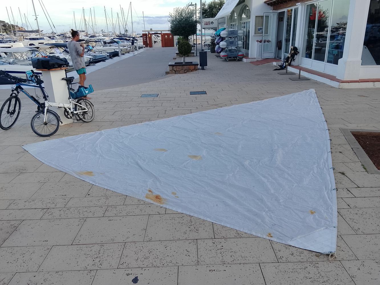 Vela Génova liviana