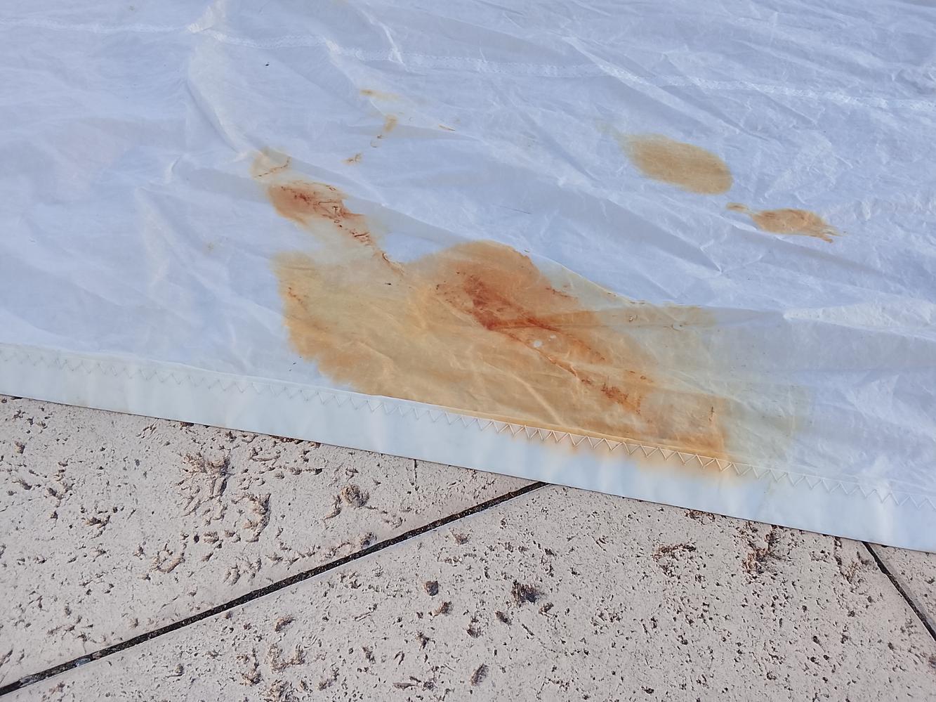 Vela Génova liviana