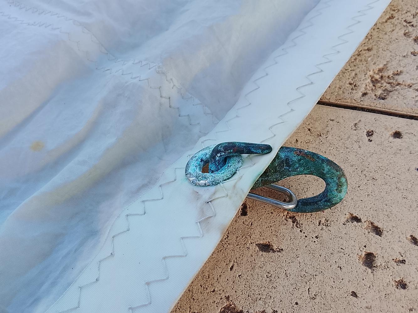 Vela Génova liviana