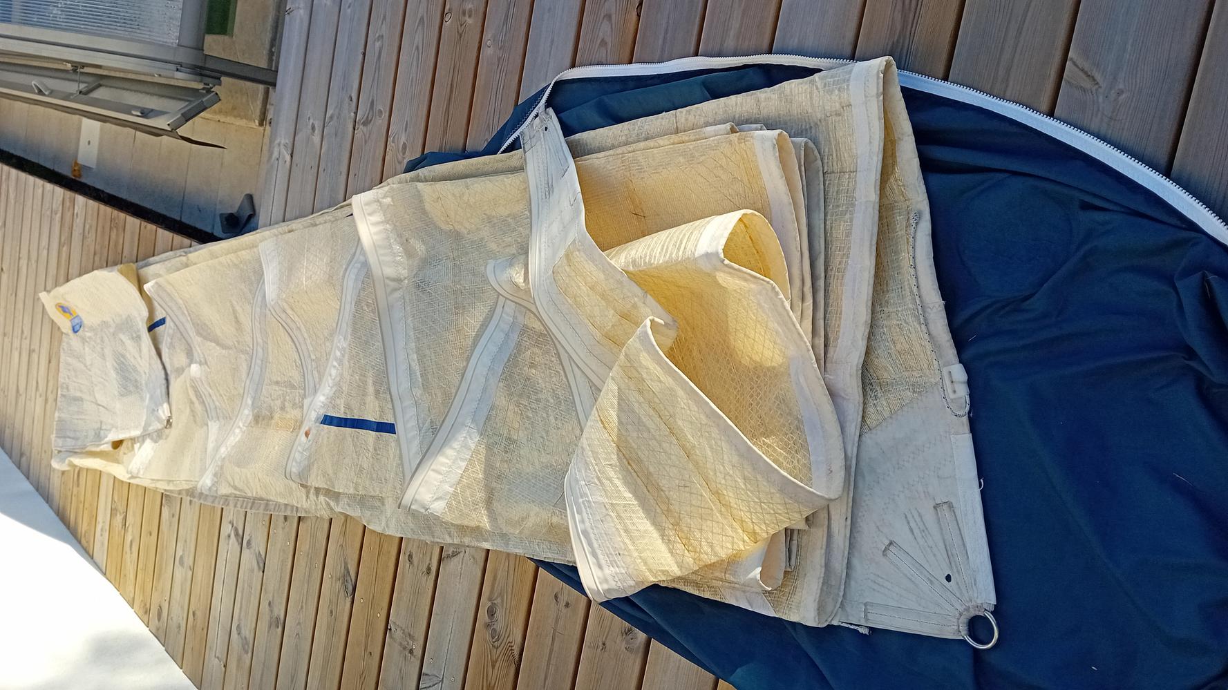 Genois regate pour first 31.7