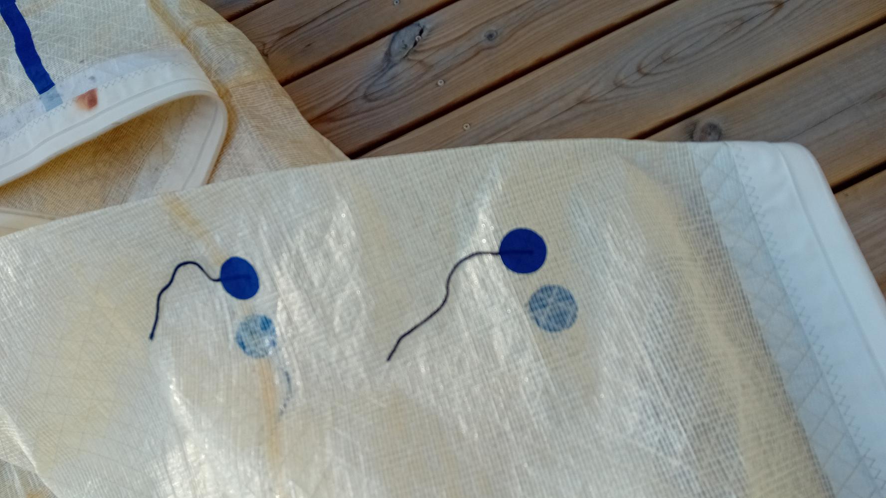 Genois regate pour first 31.7