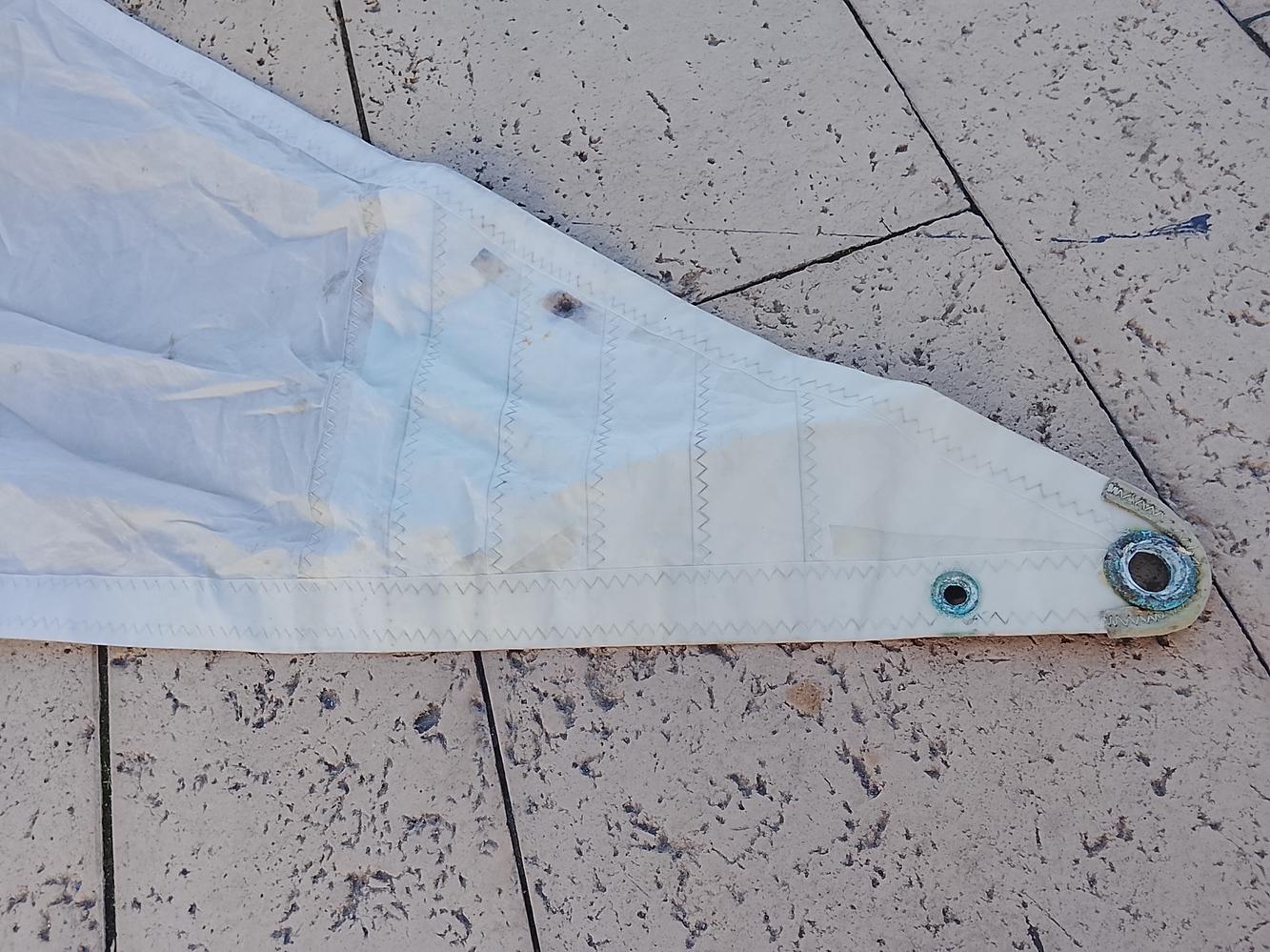 Vela Génova liviana