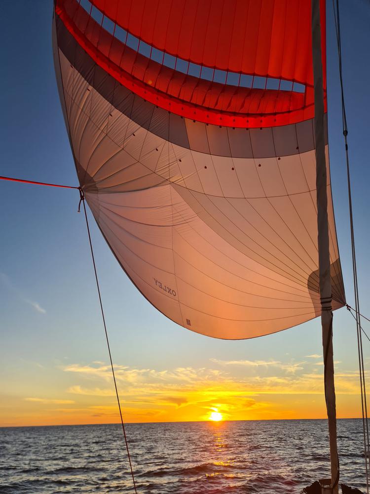 Voile Parasailor OXLEY Levante à vendre