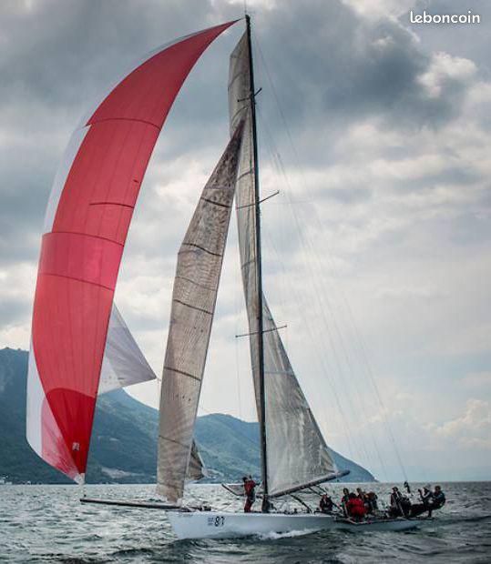 Bout dehors télescopique 4m50 carbone