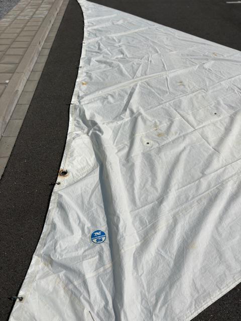 16.5m2 Jib with hanks