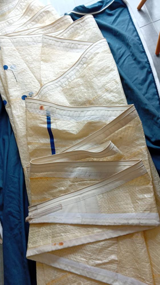 Genois regate first 31.7