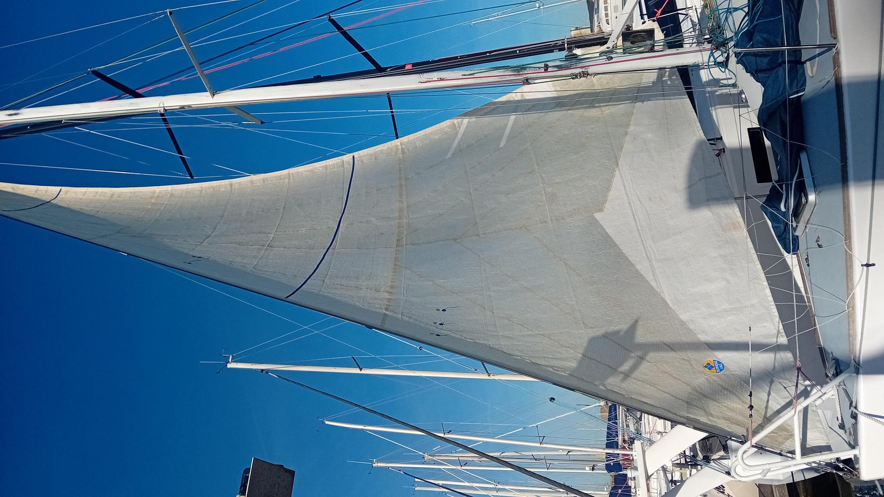 Genois regate first 31.7