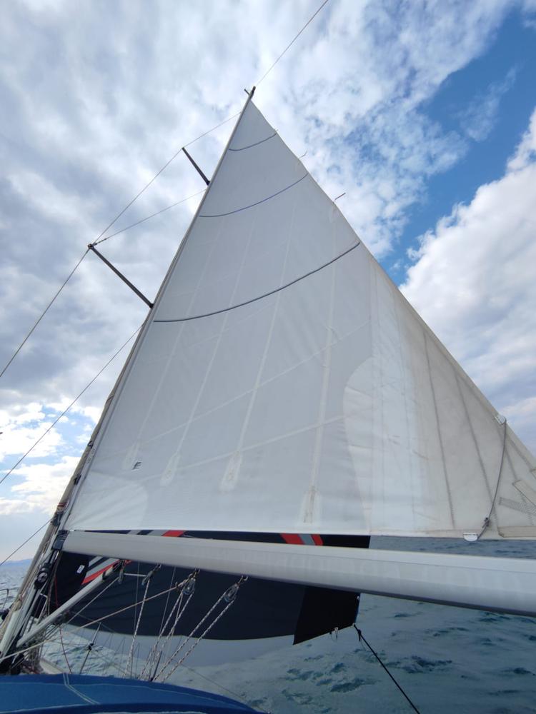 Mayor enrrollable sables forzados bavaria 36