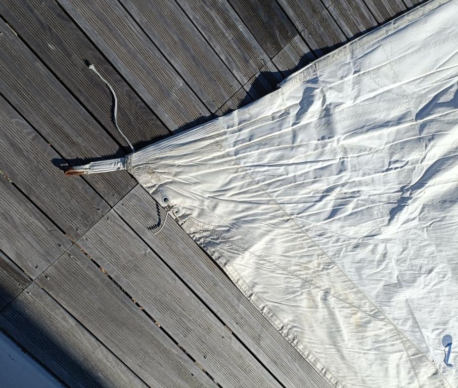 Génois Incidence 2008