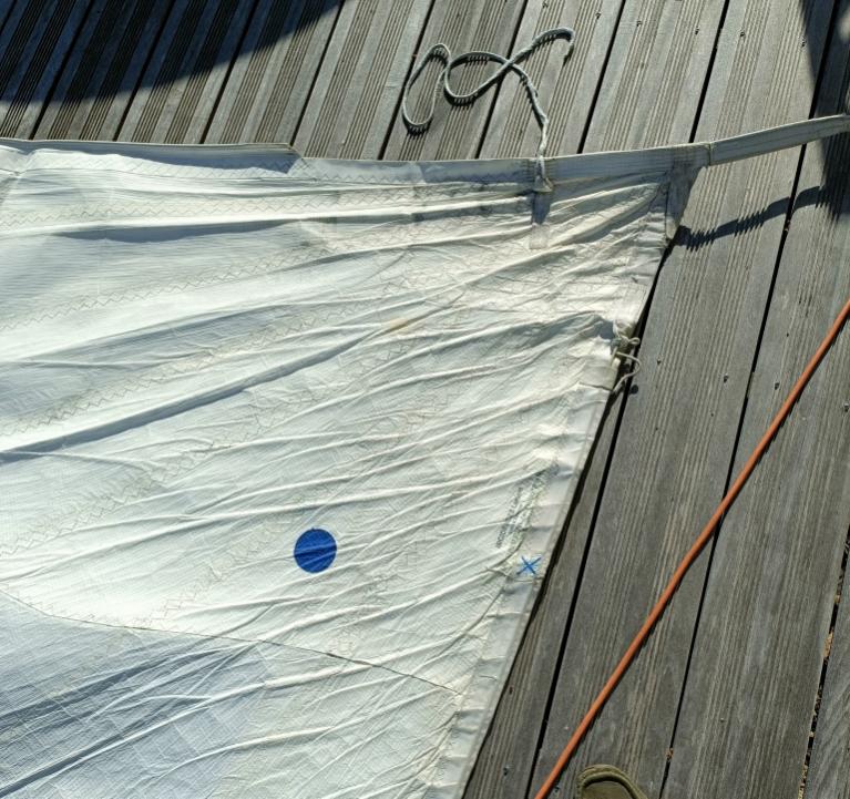 Génois Incidences 2013