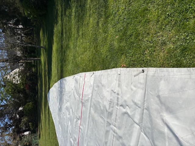 Grand voile full batten 31 m2