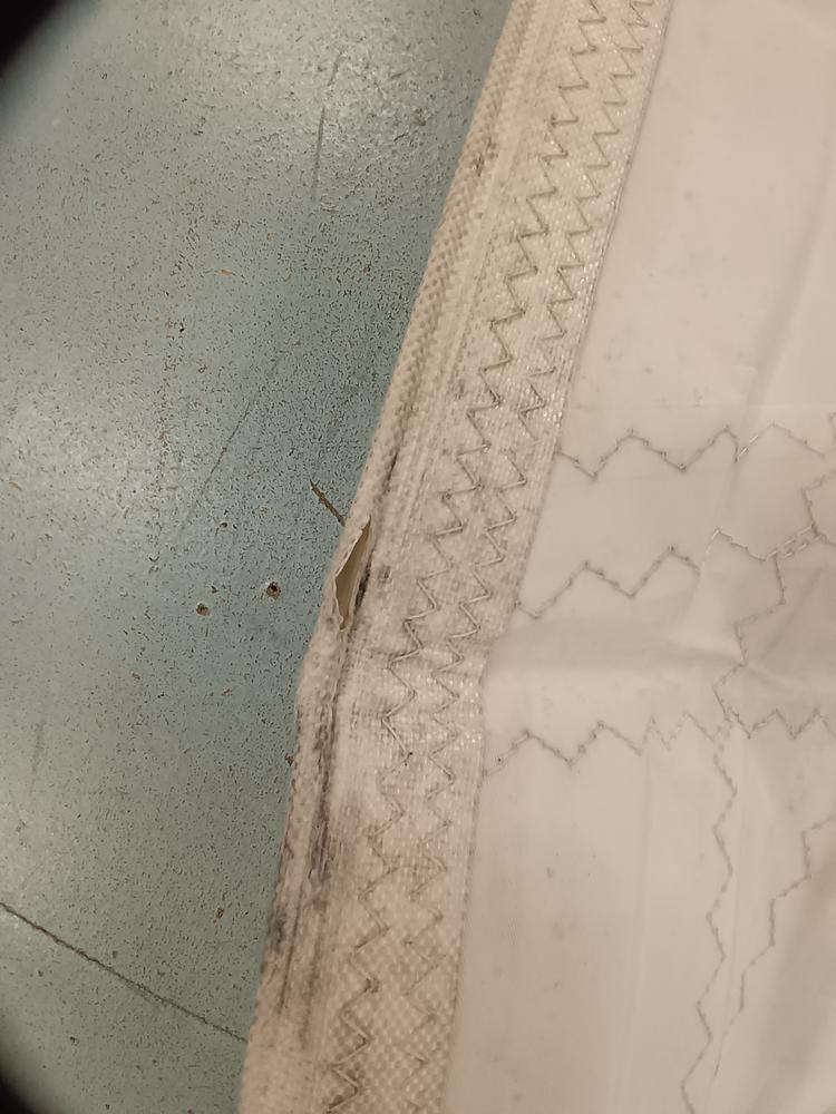 Solent Dacron coupe Cross Cut