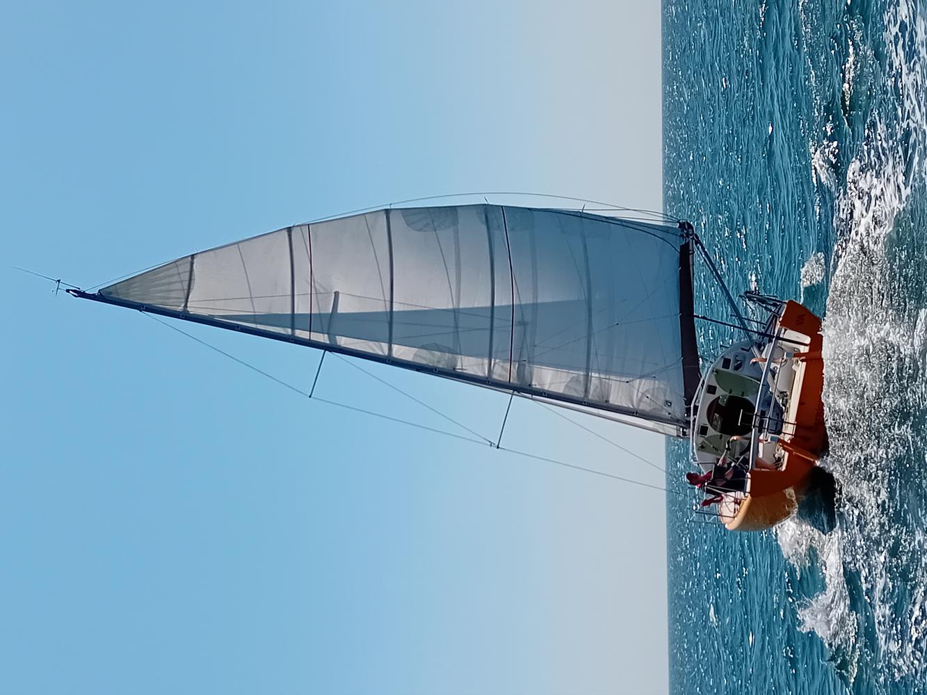 Grand voile full batten 31 m2