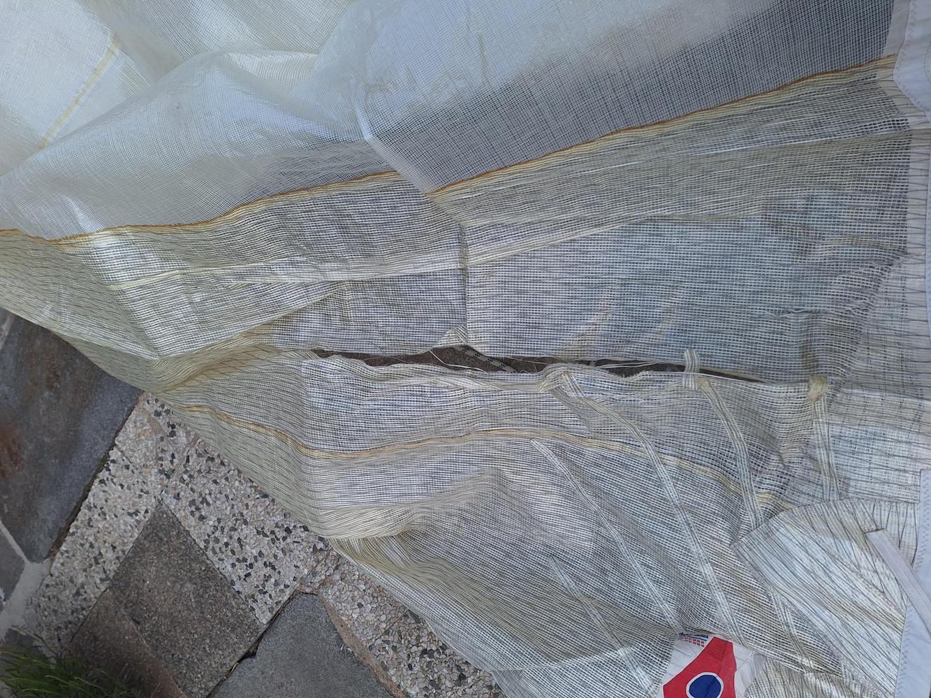 Genois medium Delta figaro 1 kevlar fatigué