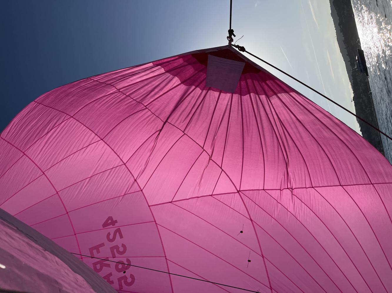 Gennaker North Sails avec emmagasineur