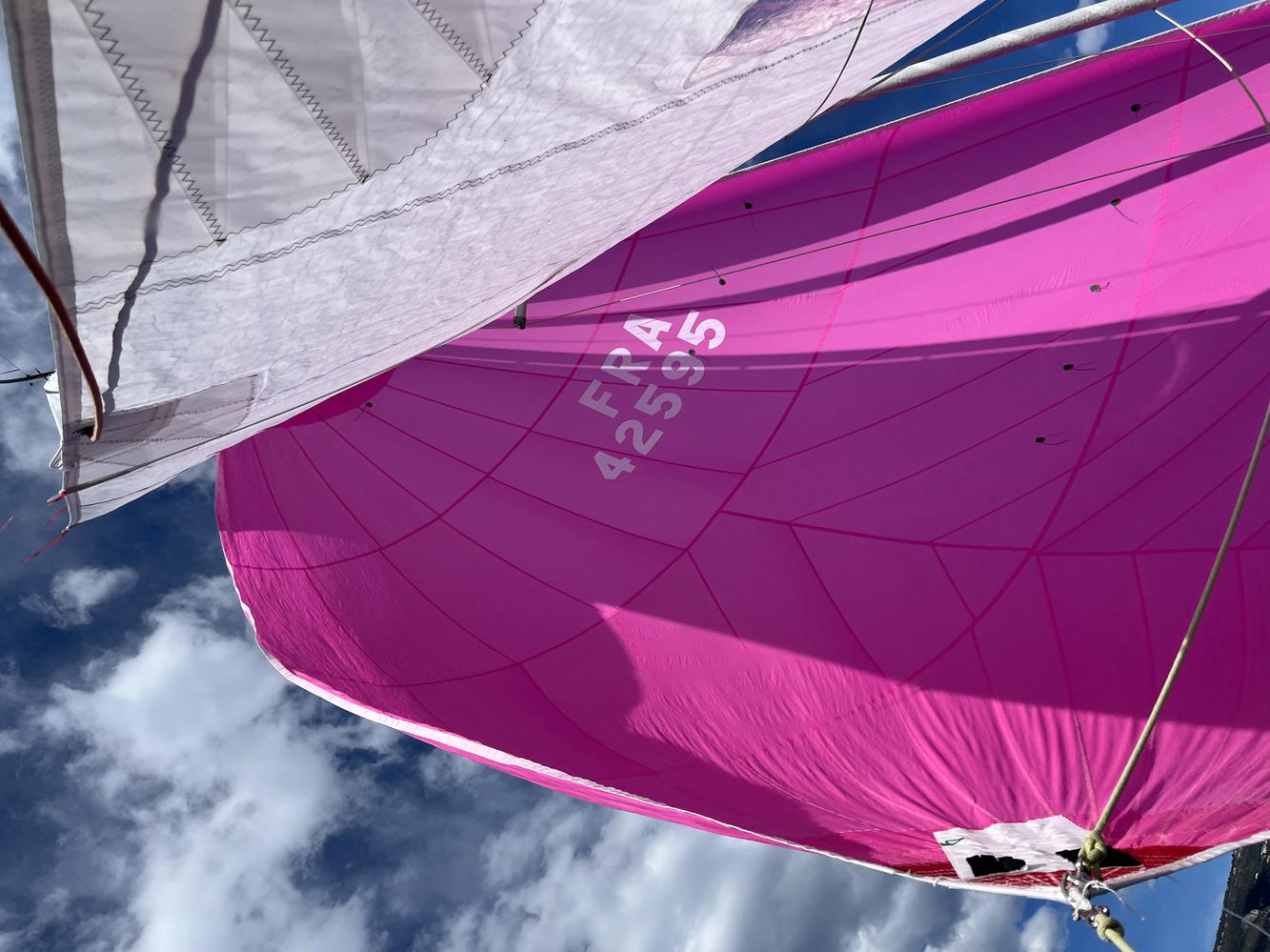 Gennaker North Sails avec emmagasineur