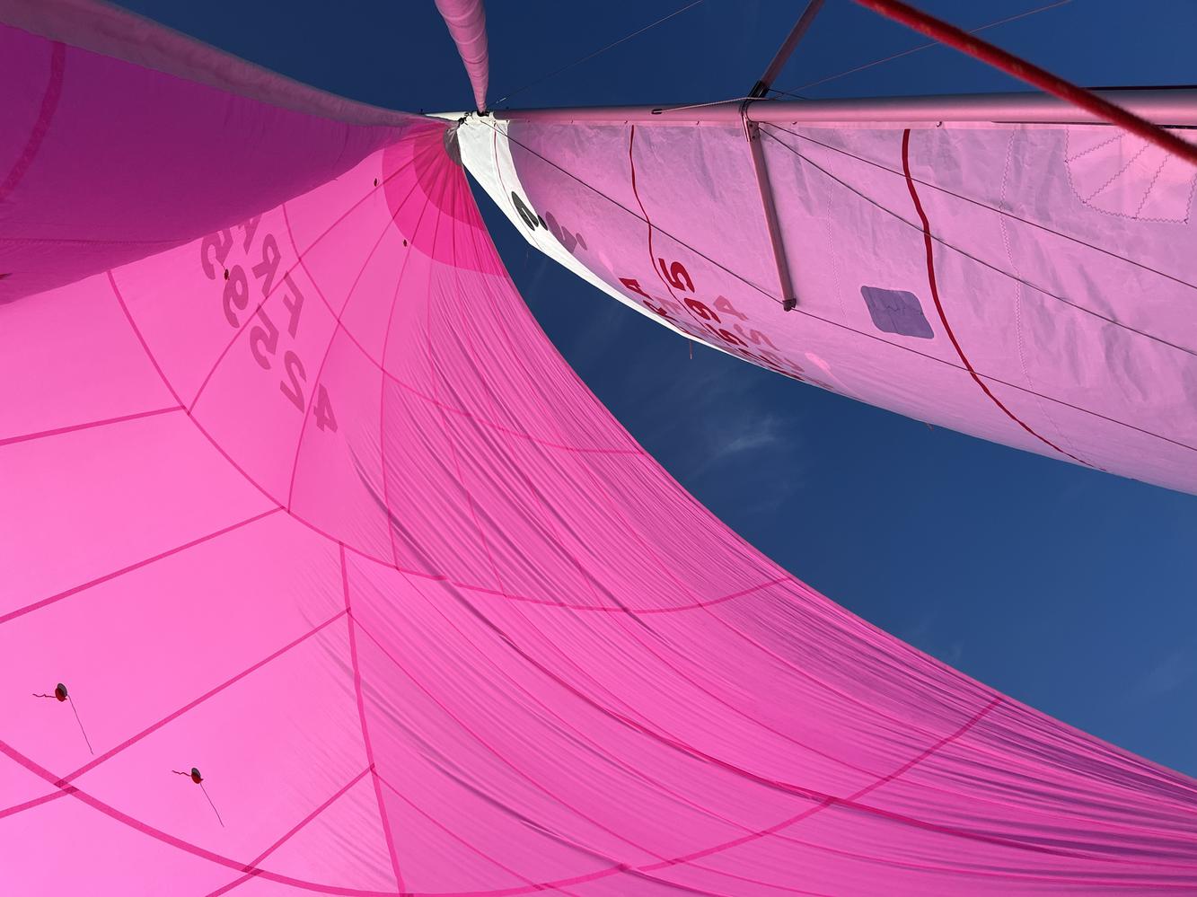 Gennaker North Sails avec emmagasineur
