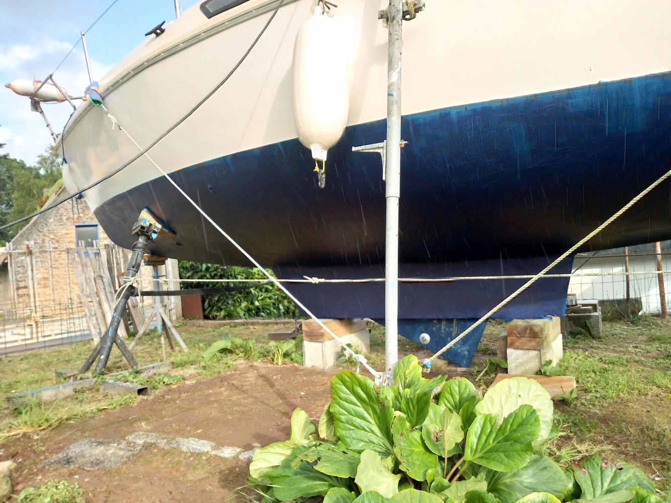 je recherche grand voile  pour brio