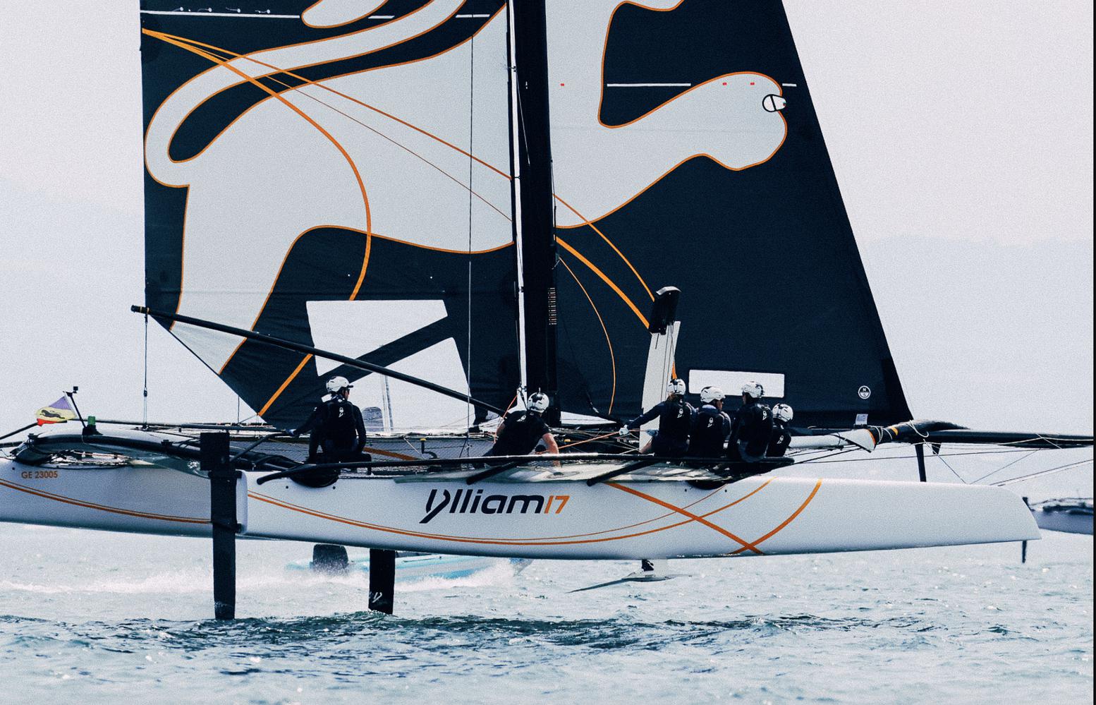 JIB - Foc TF35 - 2020 à vendre - bon état