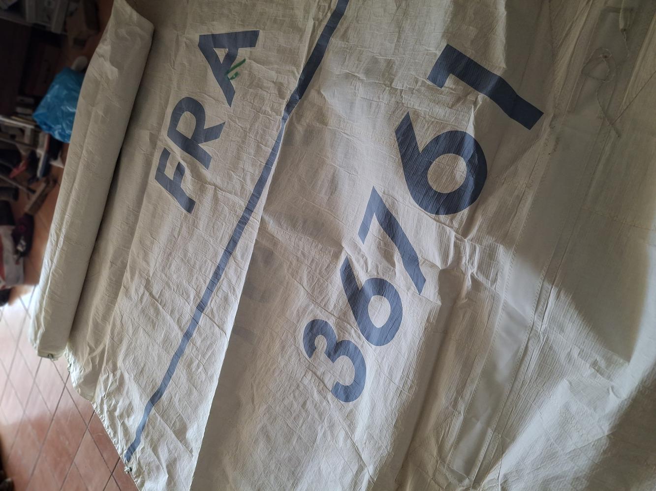 Grand voile First 31 7