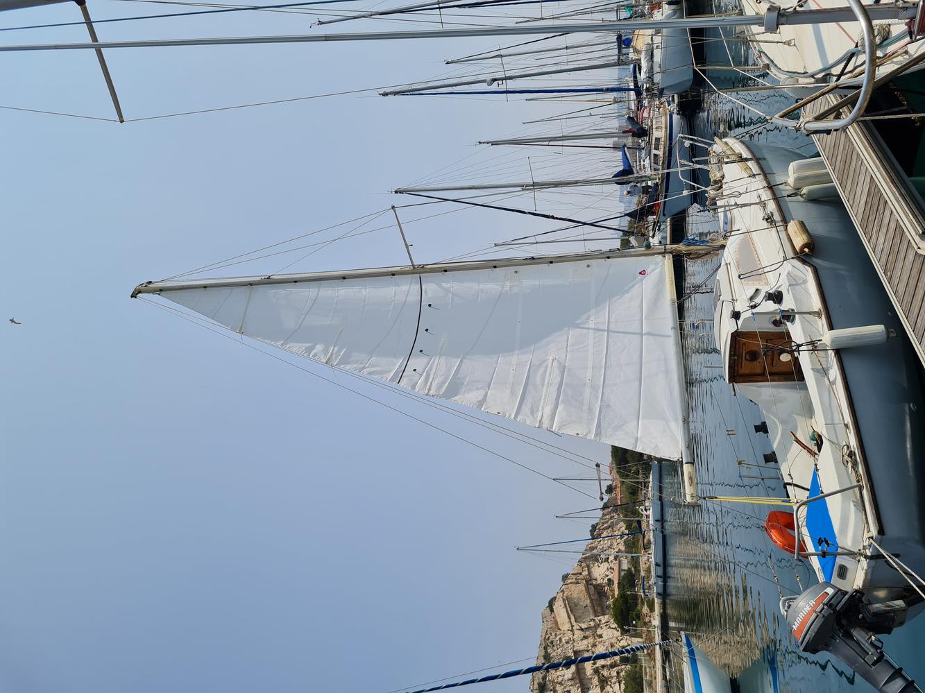 Grand voile neuve