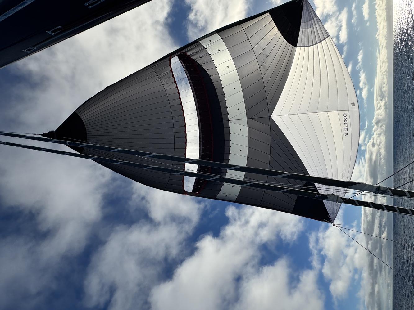 Voile Oxley Bora, 19,7m de guindant, 188m2
