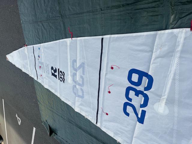 9m2 High Roach Mainsail