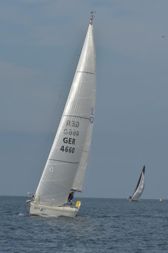 51m2 genua