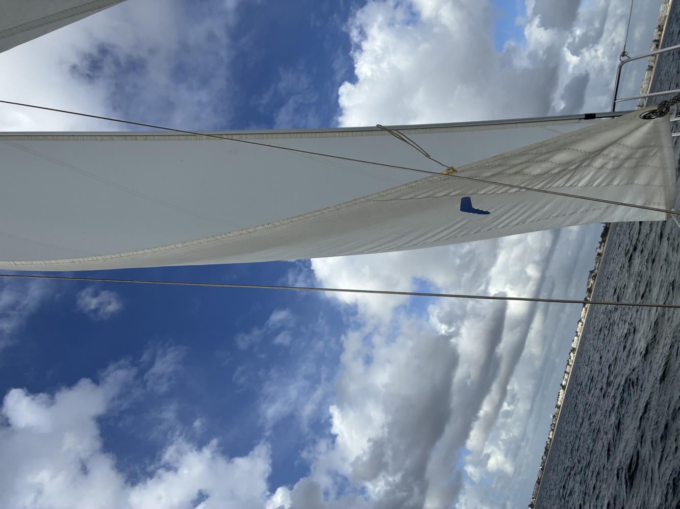 Genois Dacron 11.5m2